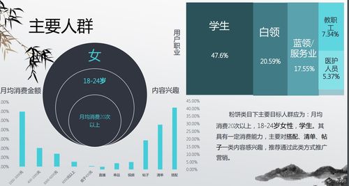 彩妆行业数据分析 为中小商家在红海市场寻找信息系统集成突破口