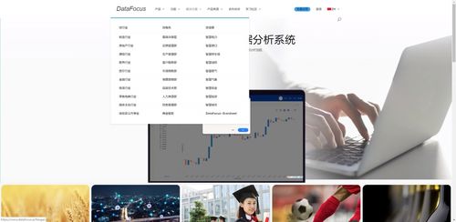 中国大数据与信息系统集成服务领域的领先企业概览